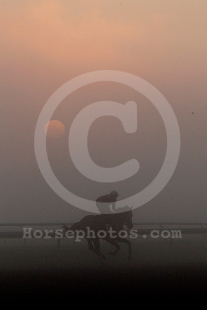 saratoga_morning276