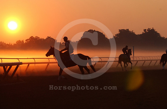saratoga morning