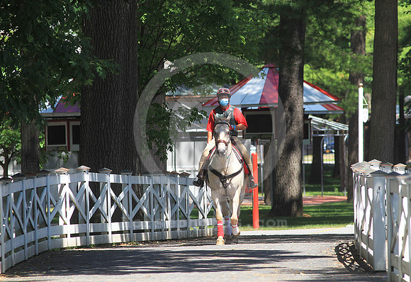 saratoga_outrider01_st