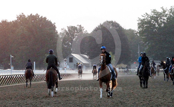 saratoga morning