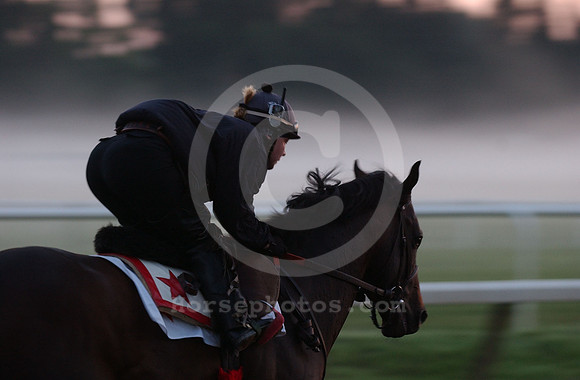 saratoga morning
