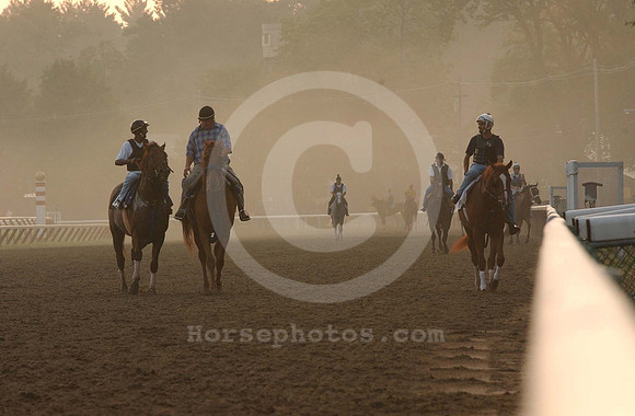 saratoga morning