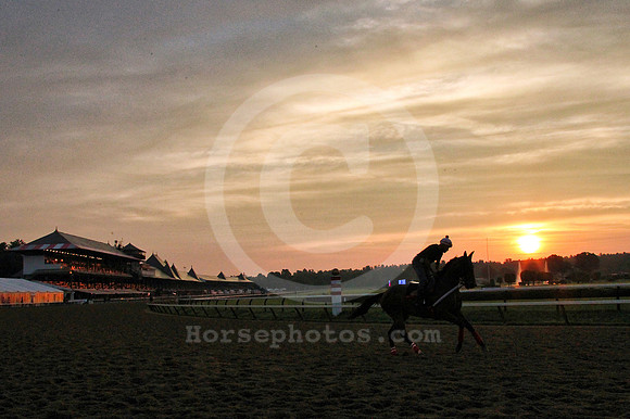 saratoga morning