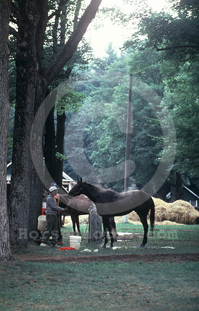 saratoga morning