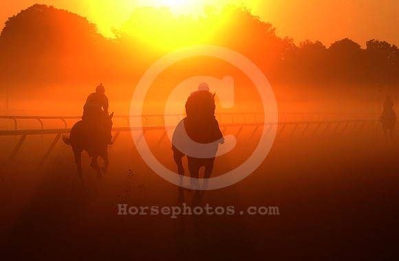 saratoga morning
