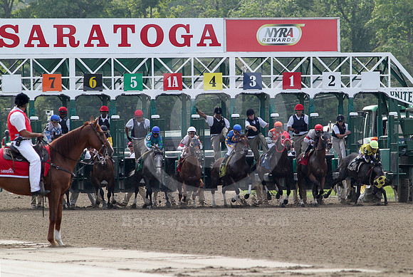 saratoga racing action