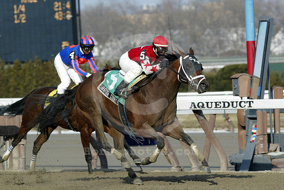 saratogacounty05_dk