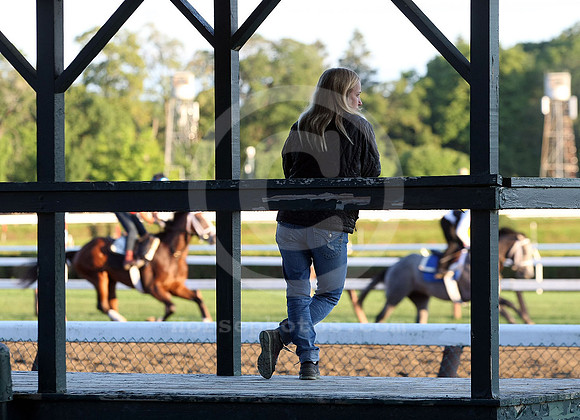 saratoga morning