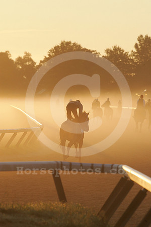 saratoga morning