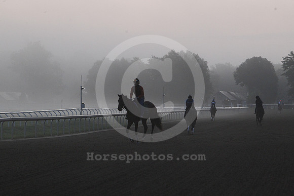 saratoga_morning258