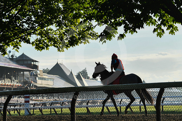 saratoga morning