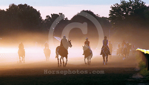 saratoga morning