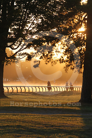 saratoga morning
