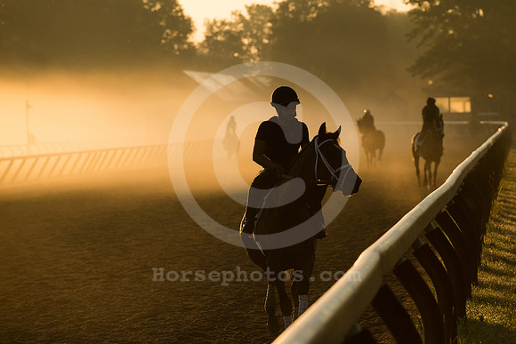 saratoga morning