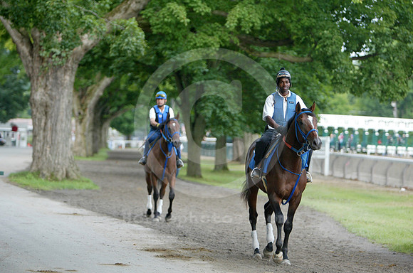 saratoga morning