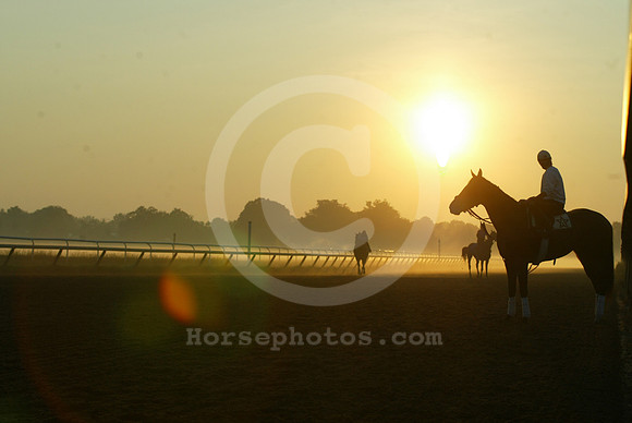 saratoga morning