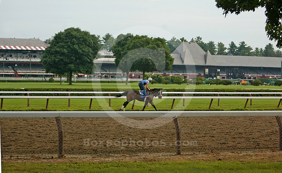 saratoga morning