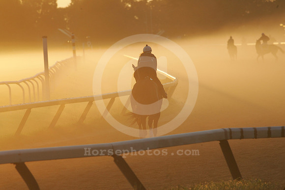 saratoga morning