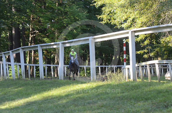 saratoga morning