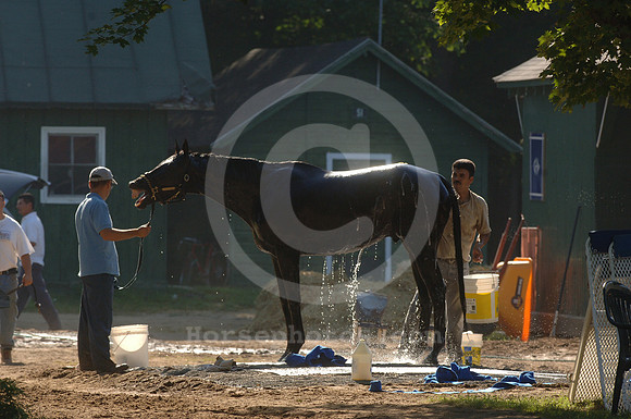 saratoga morning