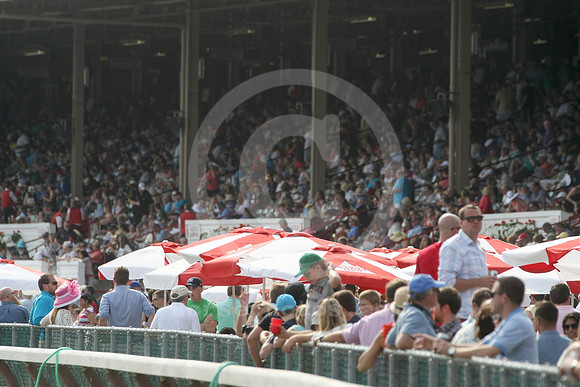 saratoga_grandstand4