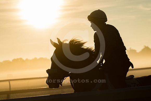 saratoga morning
