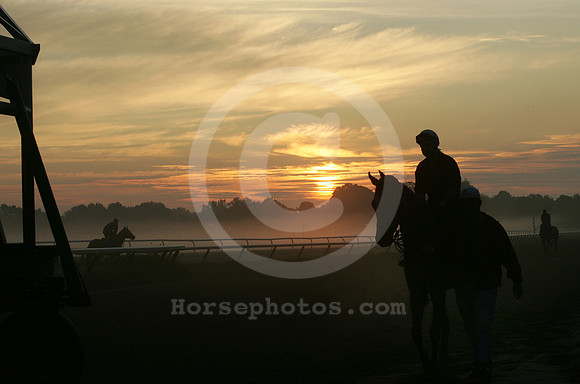 saratoga morning