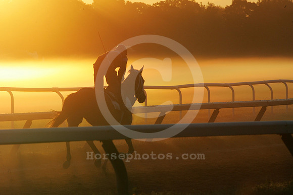 saratoga morning