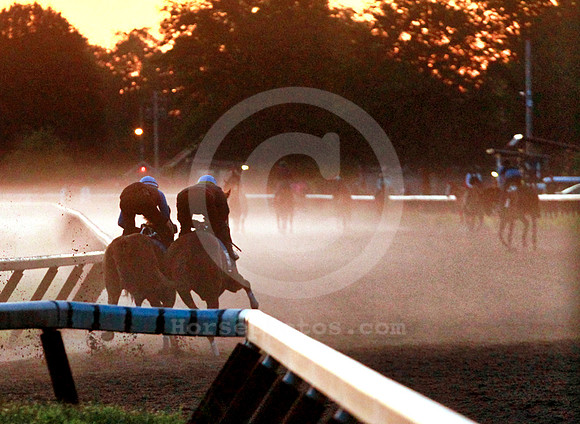saratoga morning