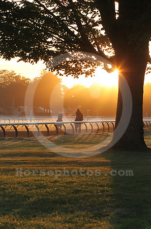 saratoga morning