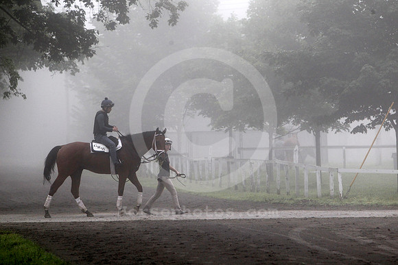 saratoga_morning271