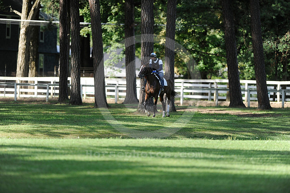 saratoga morning