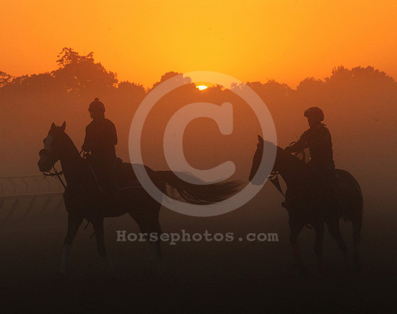 saratoga morning