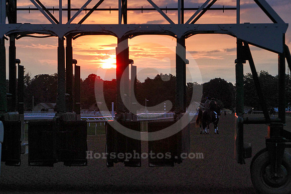 saratoga_morning291