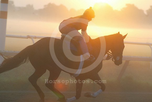 saratoga morning
