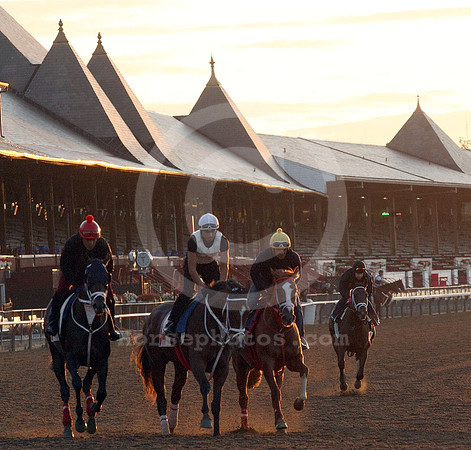 saratoga morning
