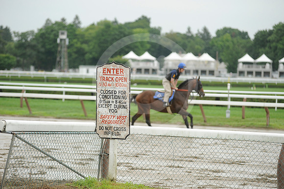 saratoga morning