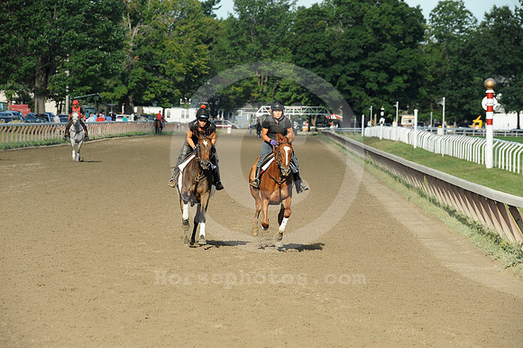 saratoga morning
