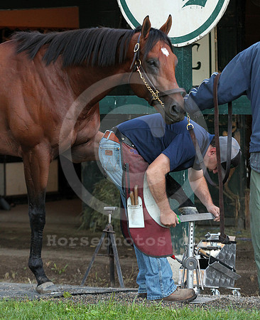 saratoga morning