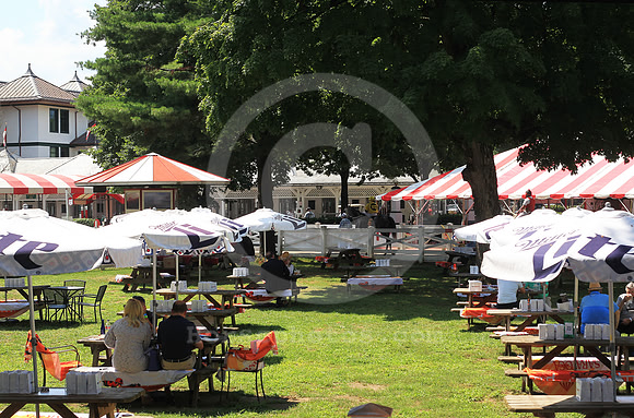 saratoga_backyard03