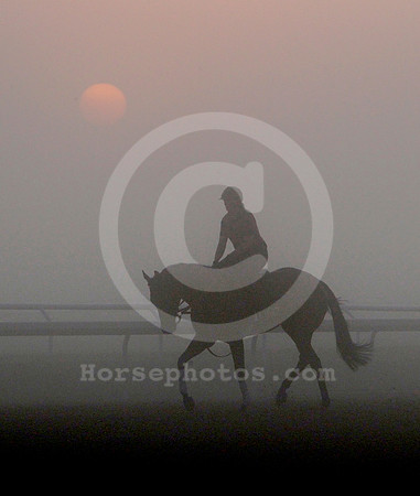 saratoga_morning277