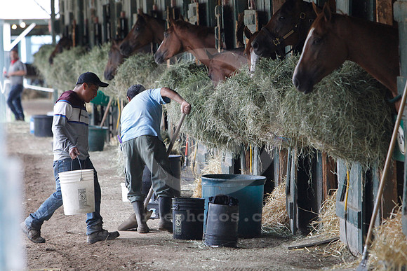 saratoga_morning292