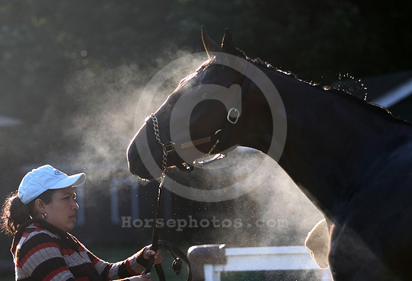 saratoga morning