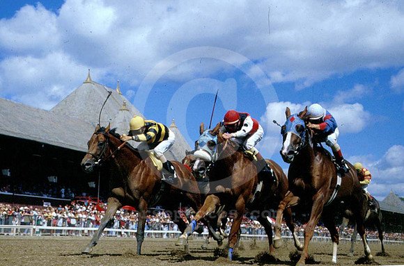 saratoga racing action