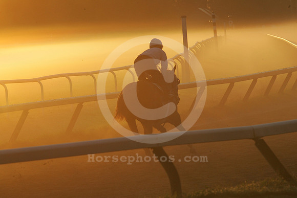 saratoga morning
