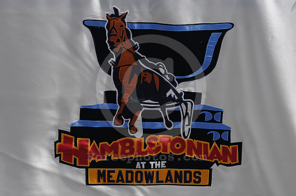 meadowlandsracetrack12_me