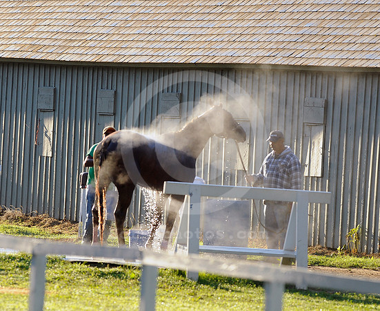 saratoga morning