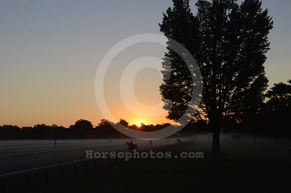 saratoga morning