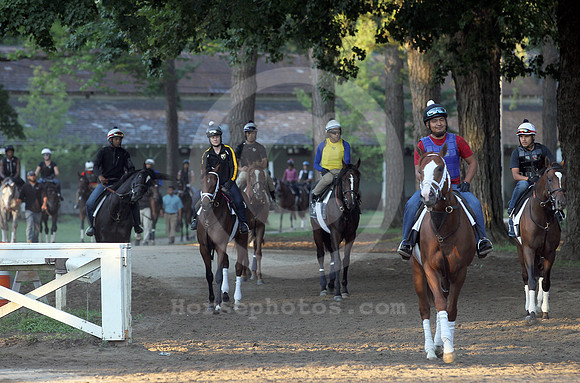 saratoga morning