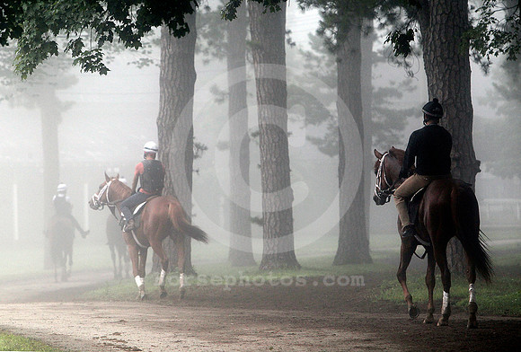 saratoga_morning274